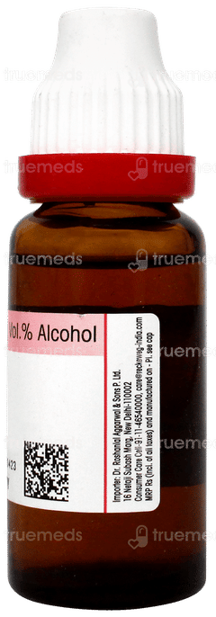 Dr Reckeweg Carduus Marianus Q Mother Tincture 20ml