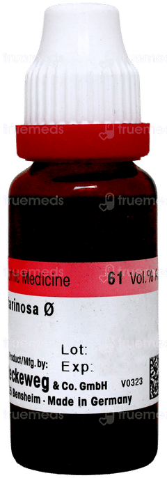 Dr Reckeweg Aletris Farinosa Q Mother Ticture 20Ml