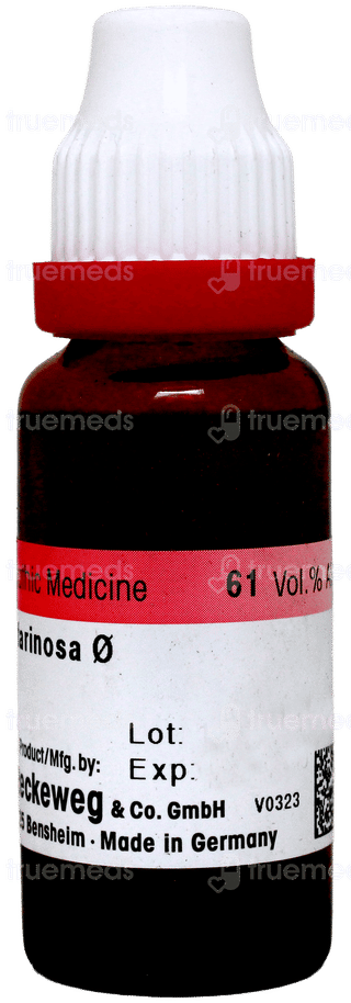 Dr Reckeweg Aletris Farinosa Q Mother Ticture 20Ml