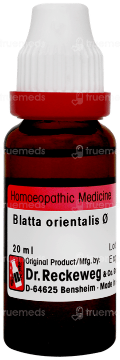 Dr Reckeweg Blatta Orientalis Q Mother Ticture  20ml