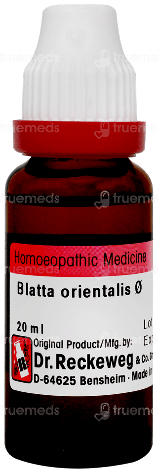 Dr Reckeweg Blatta Orientalis Q Mother Ticture  20ml