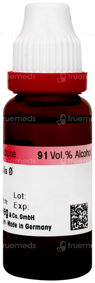 Dr Reckeweg Blatta Orientalis Q Mother Ticture  20ml