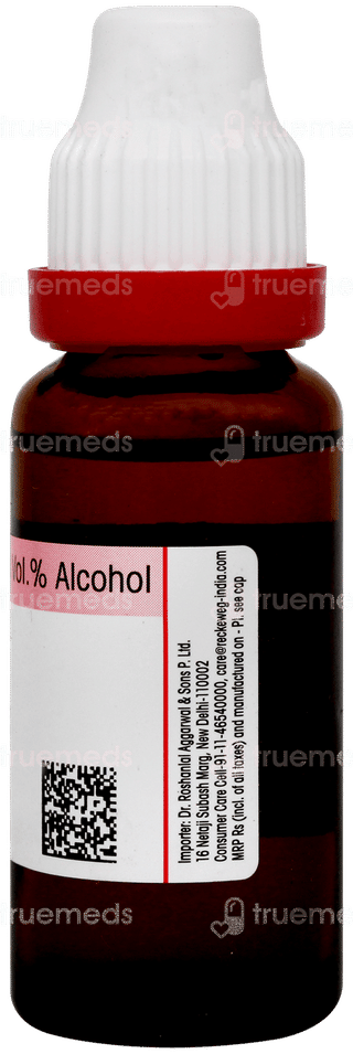 Dr Reckeweg Blatta Orientalis Q Mother Ticture  20ml