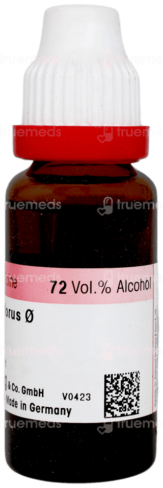 Dr Reckeweg Cactus Grandiflorus Q Mother Tincture 20ml