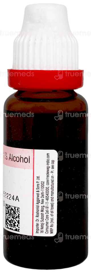 Dr Reckeweg Cactus Grandiflorus Q Mother Tincture 20ml