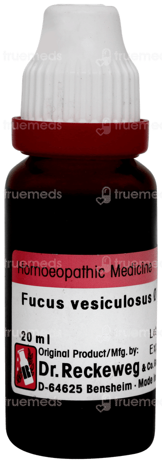 Dr Reckeweg Fucus Vesiculosus Q Mother Tincture 20ml