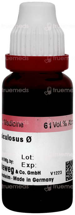 Dr Reckeweg Fucus Vesiculosus Q Mother Tincture 20ml