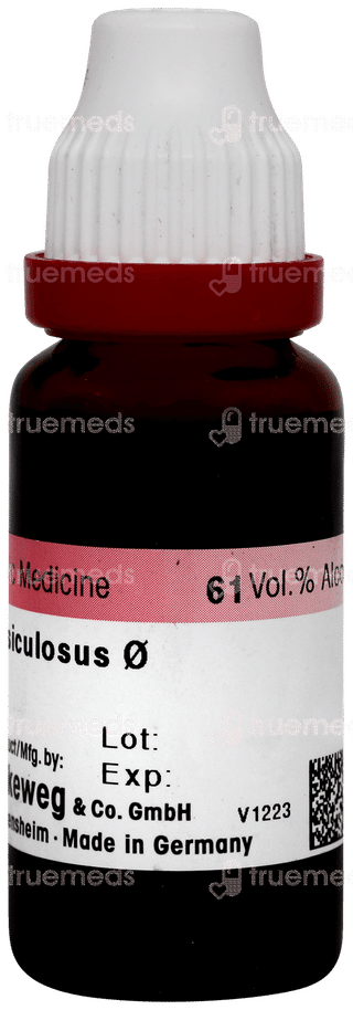 Dr Reckeweg Fucus Vesiculosus Q Mother Tincture 20ml