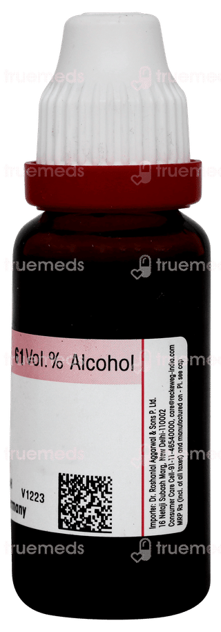 Dr Reckeweg Fucus Vesiculosus Q Mother Tincture 20ml