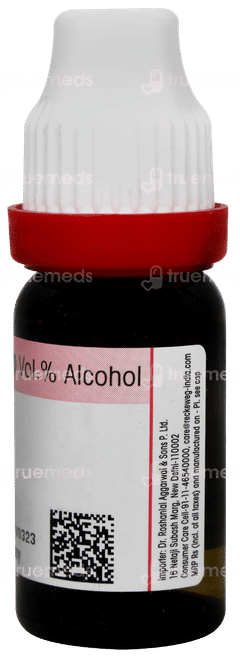 Dr Reckeweg Lycopodium 1m Dilution 11ml Dr Reckeweg Lycopodium 1m Dilution 11ml