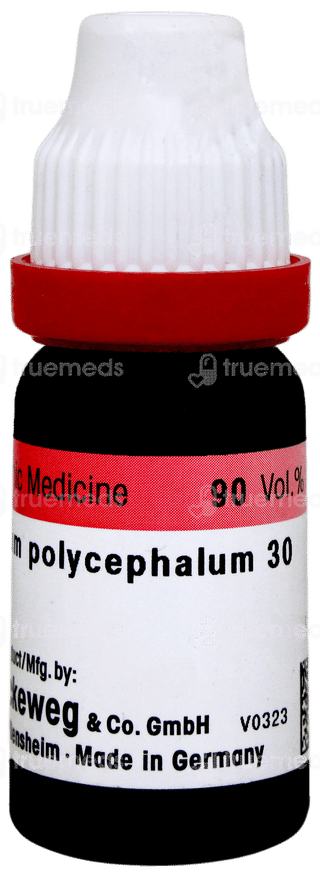 Dr Reckeweg Gnaphalium Polycephalum 30 Dilution 11ml