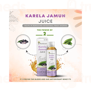 Four Seasons Karela Jamun Juice 500ml