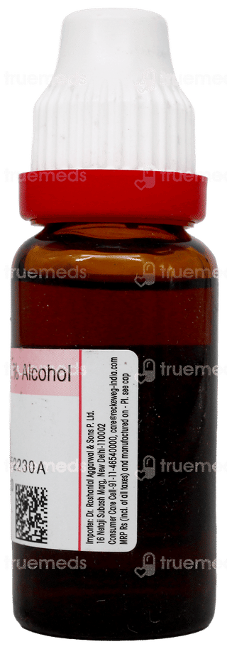 Dr Reckeweg Robinia Pseudocacia Q Mother Tincture 20Ml