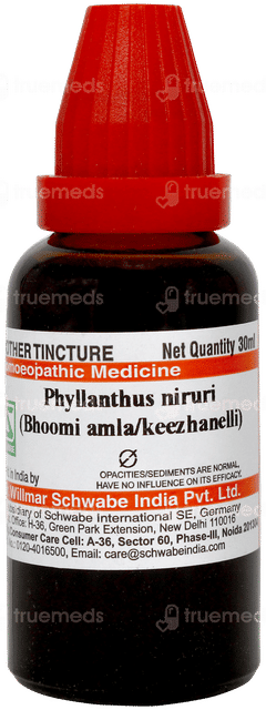 Dr Willmar Phyllanthus Niruri Bhoomi Amla Q Mother Tincture 30ml