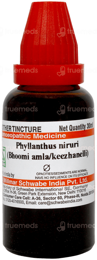 Dr Willmar Phyllanthus Niruri Bhoomi Amla Q Mother Tincture 30ml