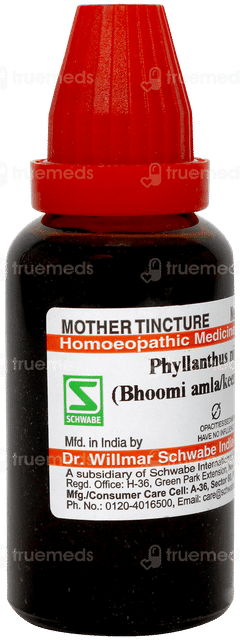 Dr Willmar Phyllanthus Niruri Bhoomi Amla Q Mother Tincture 30ml
