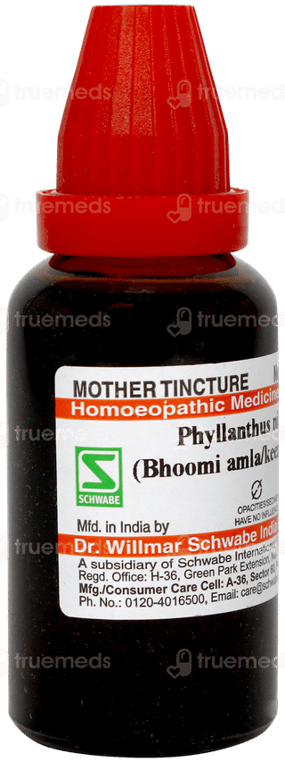 Dr Willmar Phyllanthus Niruri Bhoomi Amla Q Mother Tincture 30ml