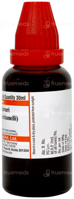 Dr Willmar Phyllanthus Niruri Bhoomi Amla Q Mother Tincture 30ml