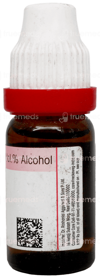 Dr Reckeweg Carbo Vegetabilis 1M Dilution 11Ml