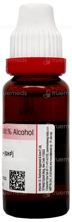 Dr Reckeweg Apis Mellifica Q Mother Tincture 20Ml