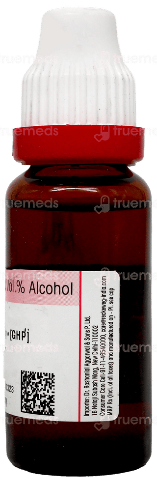 Dr Reckeweg Apis Mellifica Q Mother Tincture 20Ml