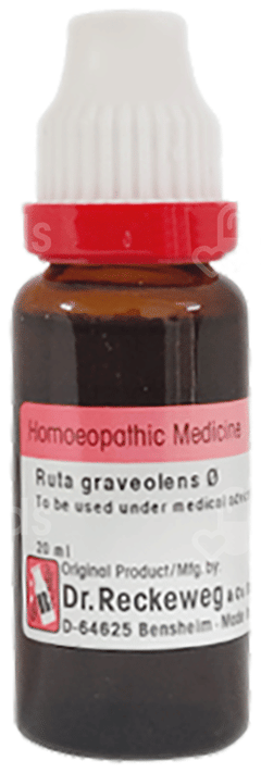 Dr Reckeweg Ruta Graveolens Q Mother Tincture 20Ml Dr Reckeweg Ruta Graveolens Q Mother Tincture 20Ml