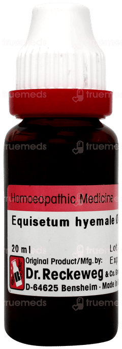 Dr Reckeweg Equisetum Hyemale Q Mother Tincture 20ml