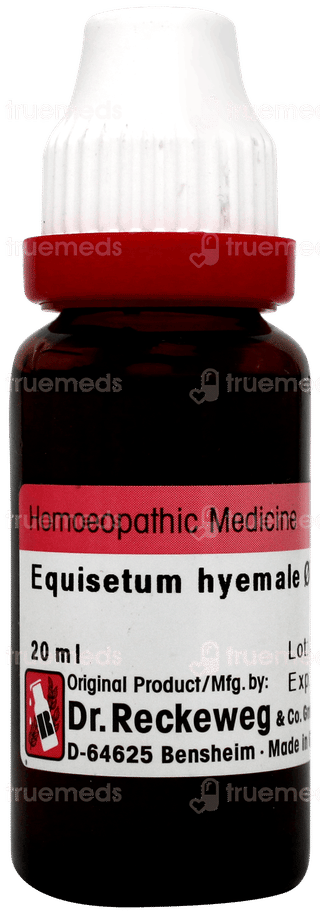Dr Reckeweg Equisetum Hyemale Q Mother Tincture 20ml