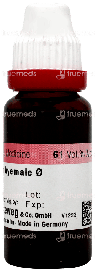 Dr Reckeweg Equisetum Hyemale Q Mother Tincture 20ml