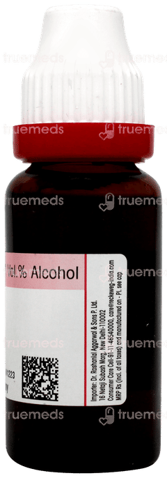 Dr Reckeweg Equisetum Hyemale Q Mother Tincture 20ml