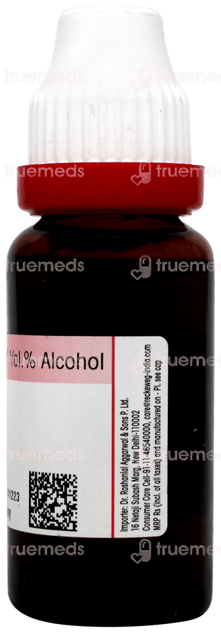 Dr Reckeweg Equisetum Hyemale Q Mother Tincture 20ml