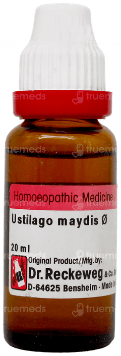 Dr Reckeweg Ustilago Maydis Q Mother Tincture 20Ml Dr Reckeweg Ustilago Maydis Q Mother Tincture 20Ml