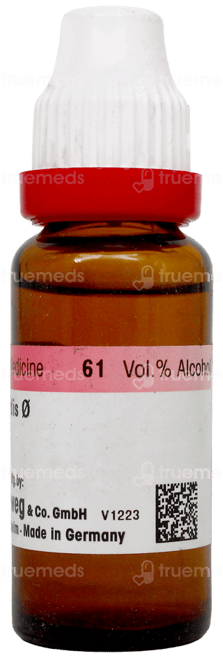 Dr Reckeweg Ustilago Maydis Q Mother Tincture 20Ml