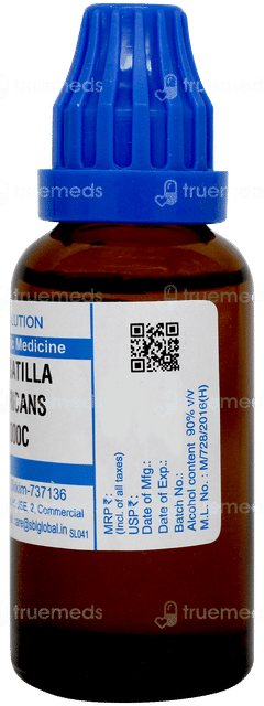 Sbl Pulsatilla Nigricans 1000c Dilution 30ml