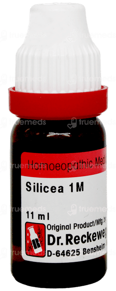 Dr Reckeweg Silicea 1M Dilution 11Ml Dr Reckeweg Silicea 1M Dilution 11Ml