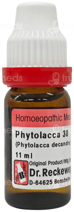 Dr Reckeweg Phytolacca 30 Dilution 11Ml Dr Reckeweg Phytolacca 30 Dilution 11Ml
