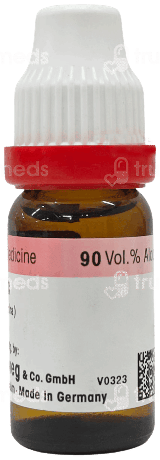Dr Reckeweg Phytolacca 30 Dilution 11Ml