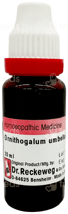 Dr Reckeweg Ornithogalum Umbellatum Q Mother Tincture 20Ml