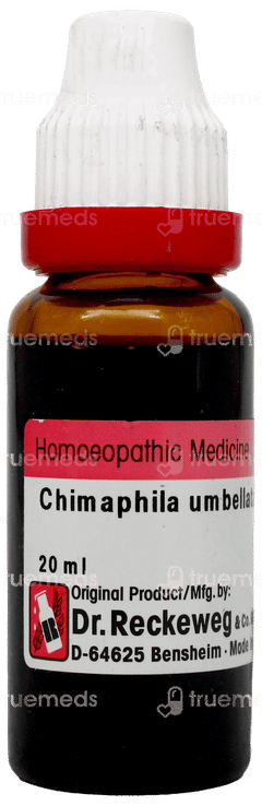 Dr Reckeweg Chimaphila Umbellata Q Mother Tincture 20Ml Dr Reckeweg Chimaphila Umbellata Q Mother Tincture 20Ml