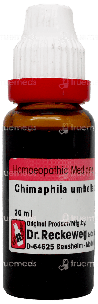 Dr Reckeweg Chimaphila Umbellata Q Mother Tincture 20Ml