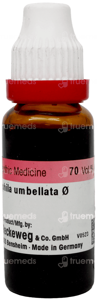 Dr Reckeweg Chimaphila Umbellata Q Mother Tincture 20Ml