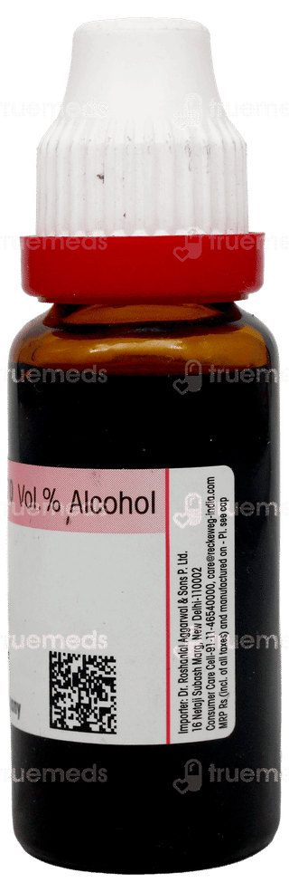 Dr Reckeweg Chimaphila Umbellata Q Mother Tincture 20Ml