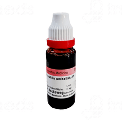 Dr Reckeweg Chimaphila Umbellata Q Mother Tincture 20ml