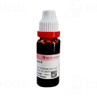 Dr Reckeweg Chimaphila Umbellata Q Mother Tincture 20ml