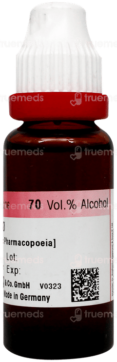 Dr Reckeweg Sterculia Cola Q Mother Tincture 20Ml