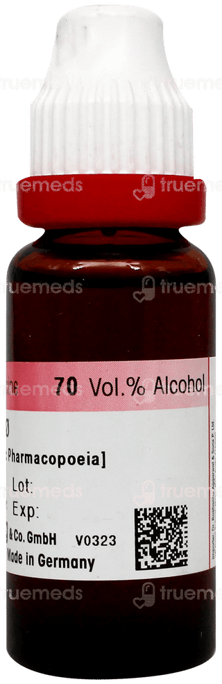 Dr Reckeweg Sterculia Cola Q Mother Tincture 20Ml