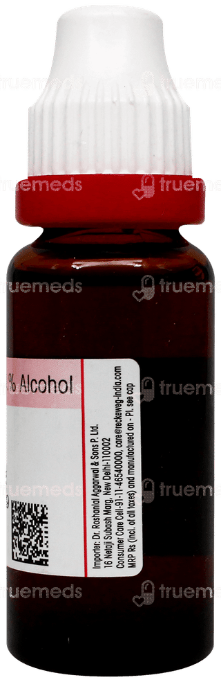 Dr Reckeweg Sterculia Cola Q Mother Tincture 20Ml