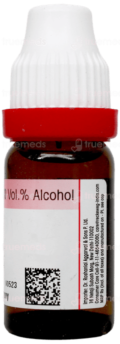 Dr Reckeweg Rhus Toxicodendron 6 Dilution 11Ml