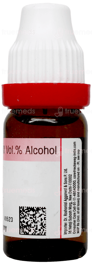 Dr Reckeweg Rhus Toxicodendron 6 Dilution 11Ml