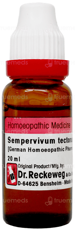 Dr Reckeweg Sempervivum Tectorum Q Mother Tincture 20Ml